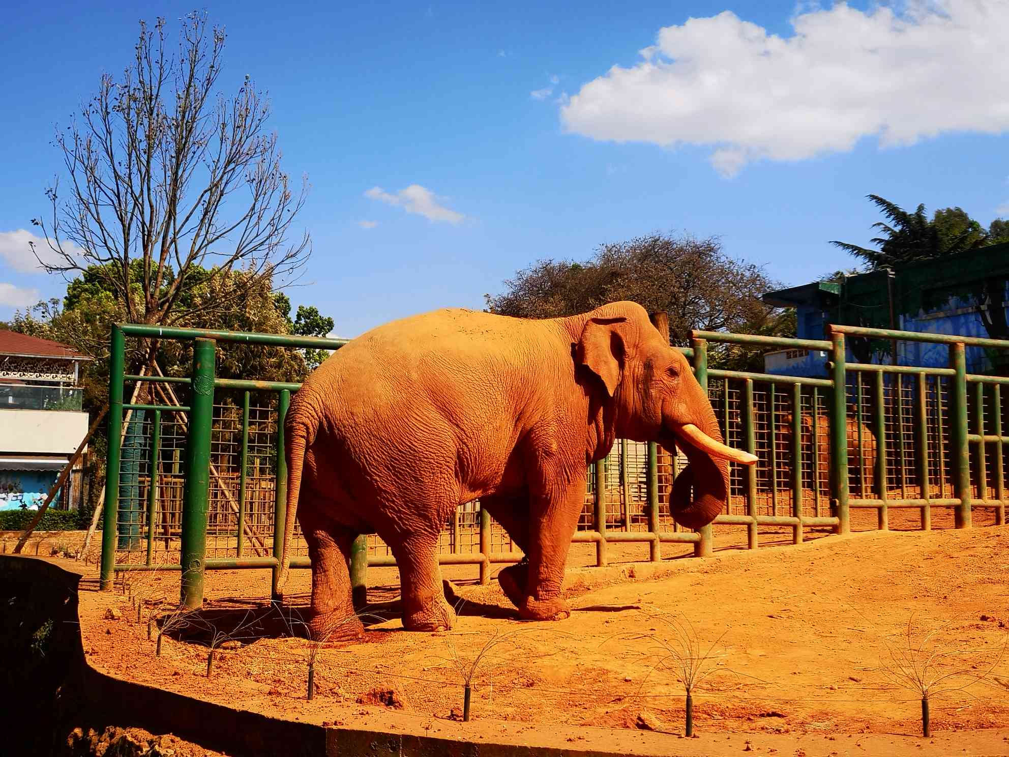 2023年3月24日工会活动 圆通山